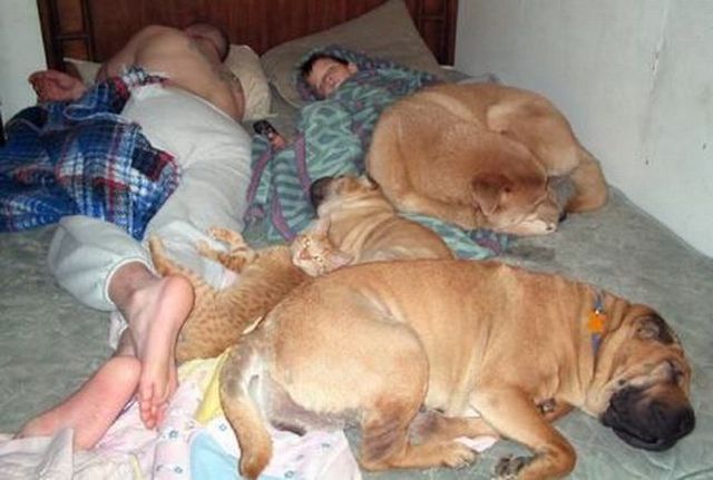 Funny picdump (78 pics)