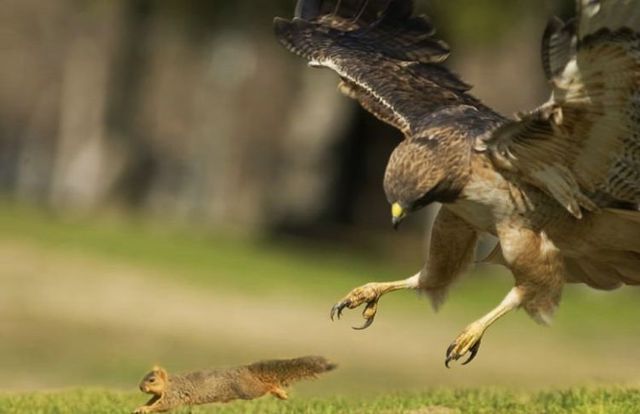 Funny picdump (78 pics)