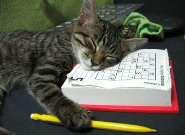 Funny picdump (78 pics)