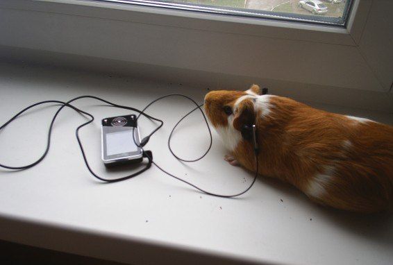 Funny picdump (78 pics)