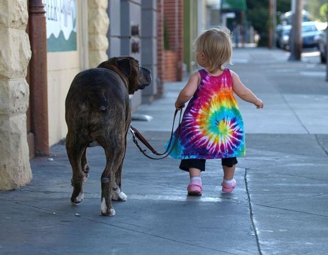 Funny picdump (78 pics)