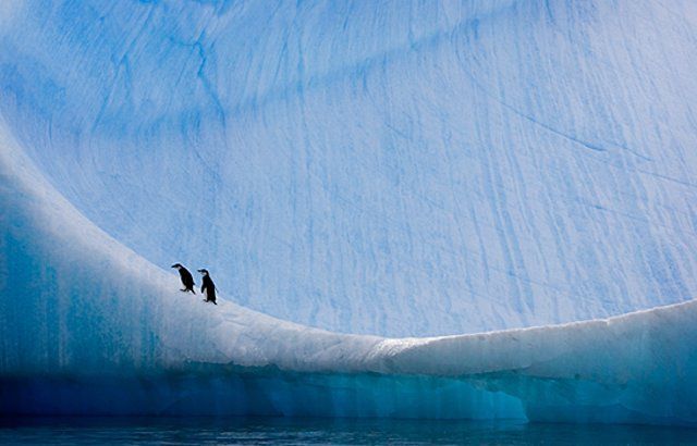 Let’s go to the Arctic (22 photos)