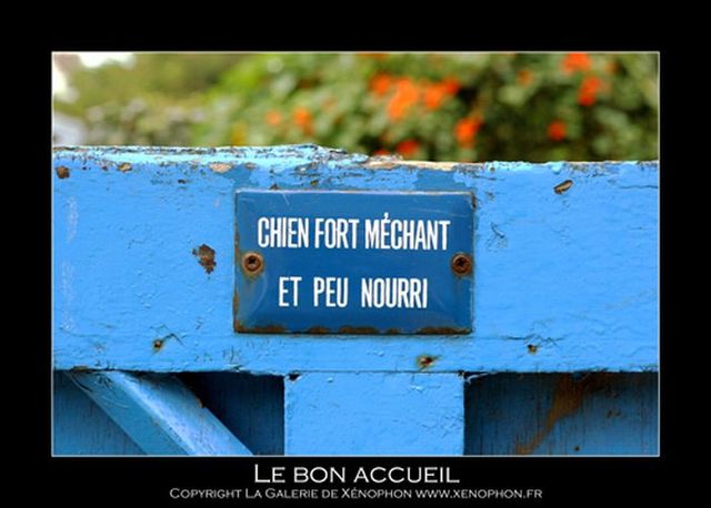 About the French with humor (50 pics)