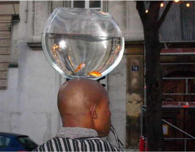 About the French with humor (50 pics)