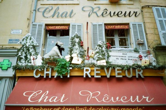 About the French with humor (50 pics)