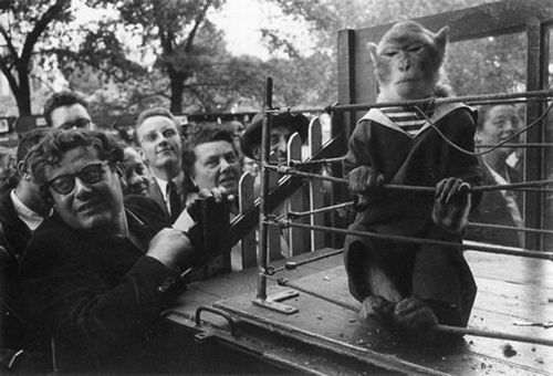 Great photos of Robert Doisneau (71 pics)
