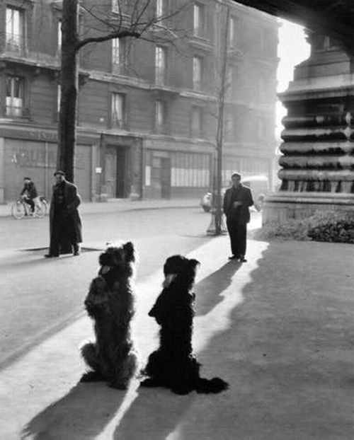 Great photos of Robert Doisneau (71 pics)