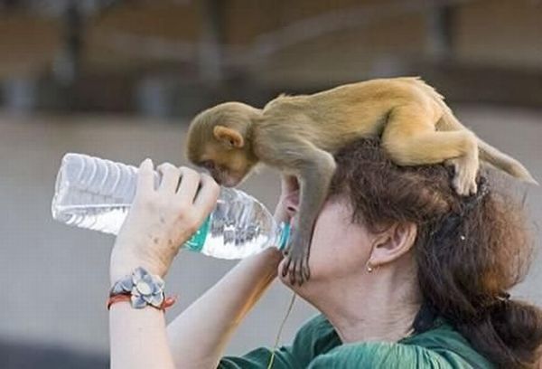 Funny picdump (83 pics)