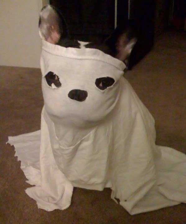 Funny picdump (83 pics)