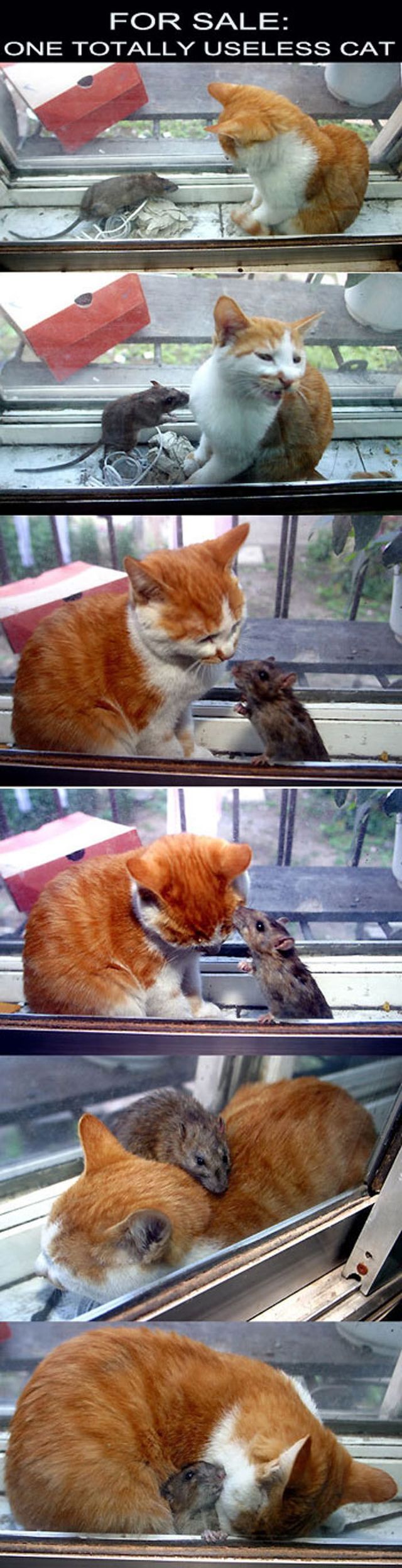 Funny picdump (83 pics)