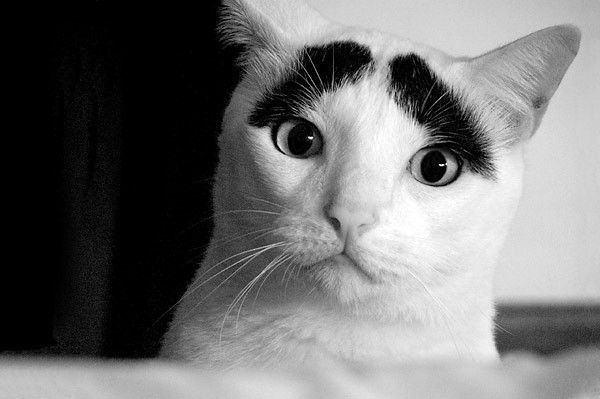 Funny picdump (83 pics)