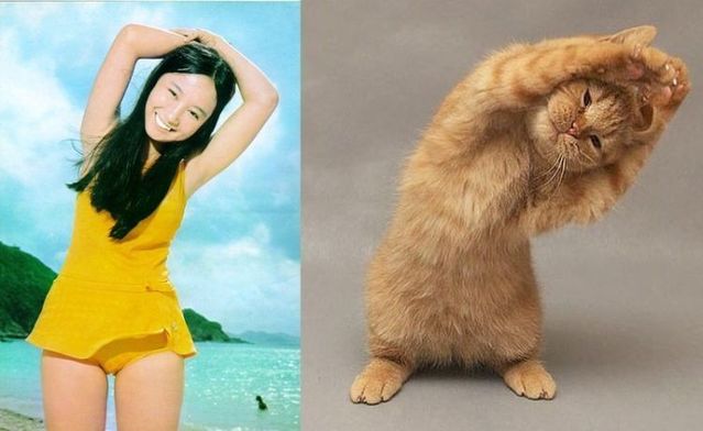 Funny picdump (83 pics)