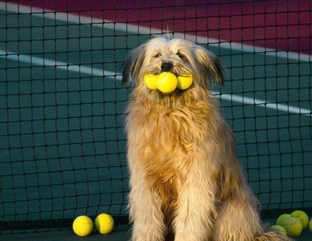 Funny picdump (83 pics)