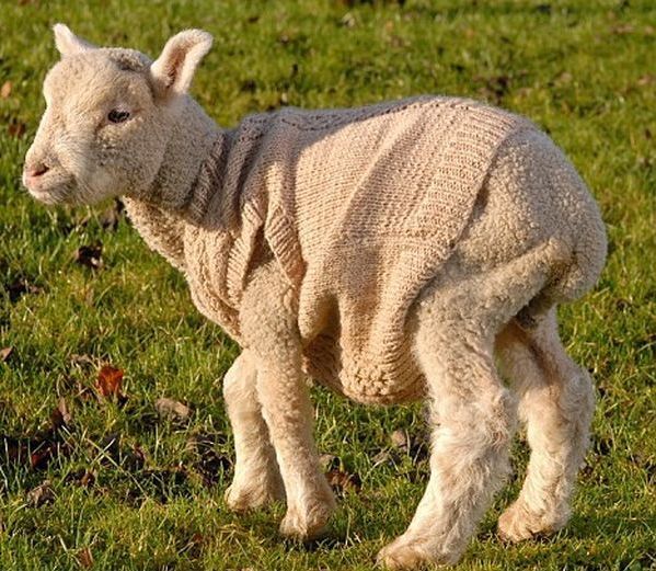 Funny picdump (83 pics)