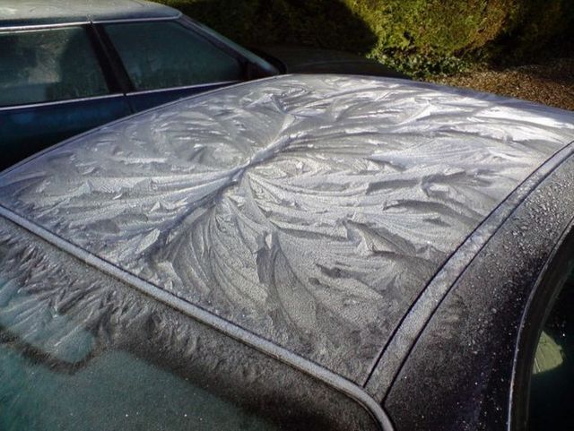 Funny picdump (83 pics)