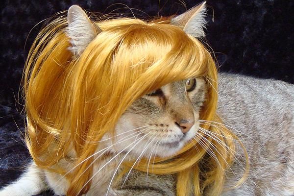 Funny picdump (83 pics)