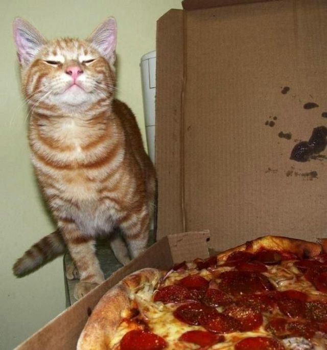 Funny picdump (83 pics)