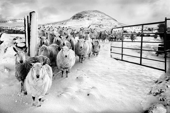 Amazing black and white pictures (62 pics)