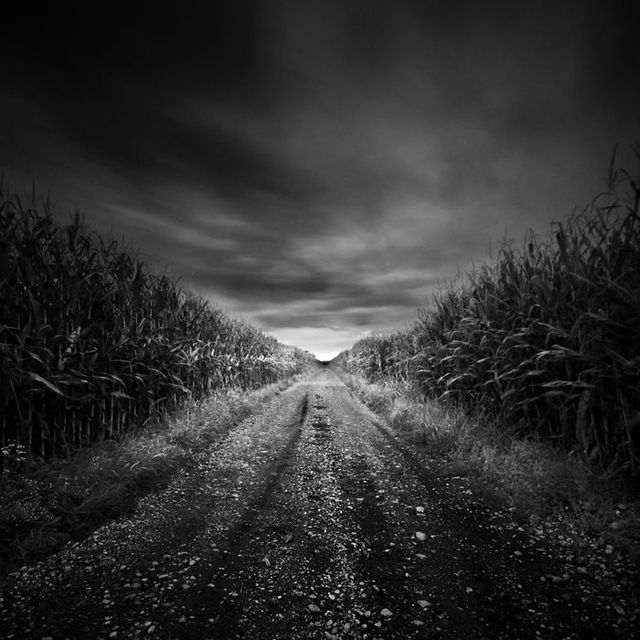 Amazing black and white pictures (62 pics)