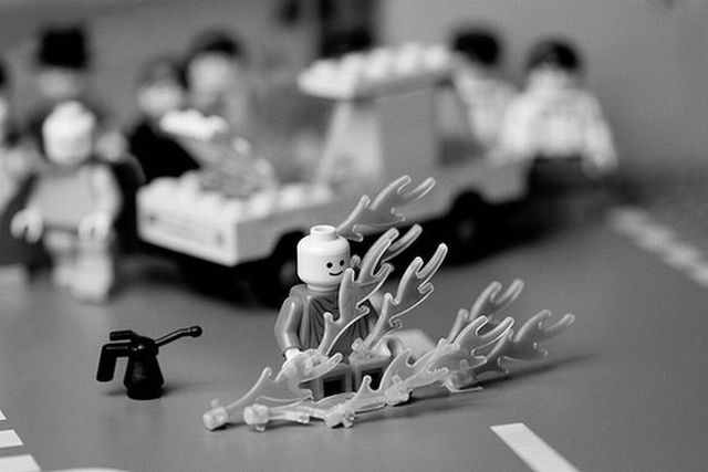 Amazing black and white pictures (62 pics)