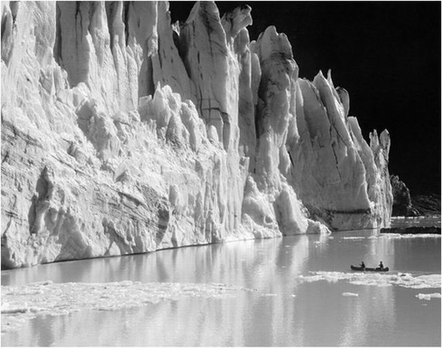 Amazing black and white pictures (62 pics)