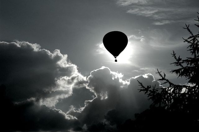 Amazing black and white pictures (62 pics)