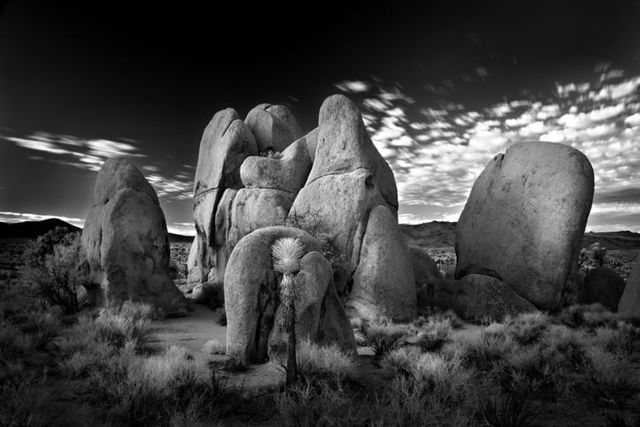 Amazing black and white pictures (62 pics)