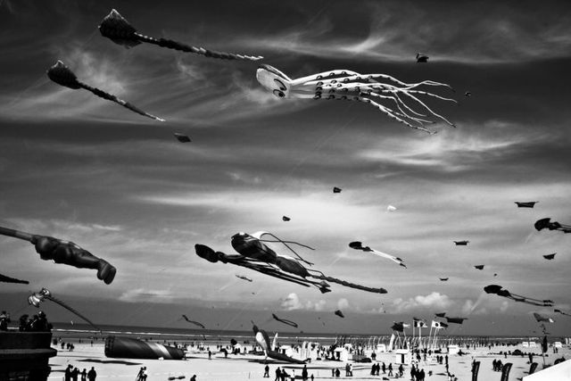 Amazing black and white pictures (62 pics)