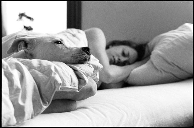 Amazing black and white pictures (62 pics)
