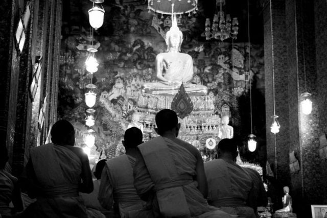 Amazing black and white pictures (62 pics)