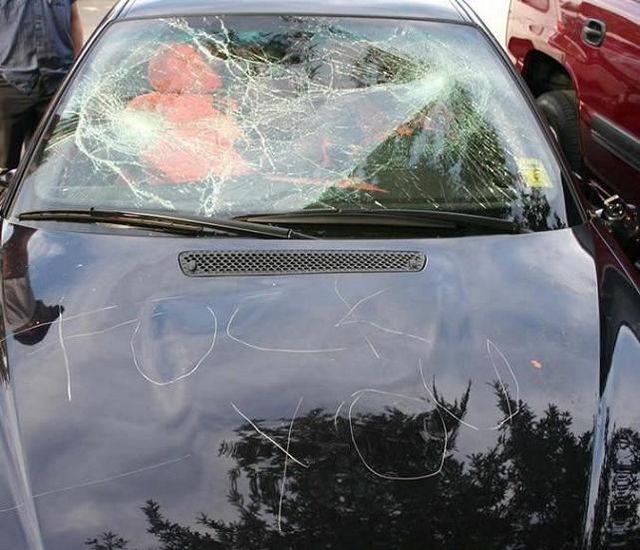 Revenge is sweeter far than flowing honey (47 photos)