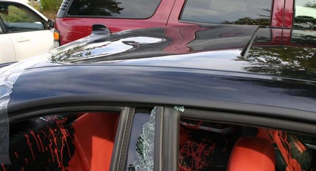 Revenge is sweeter far than flowing honey (47 photos)