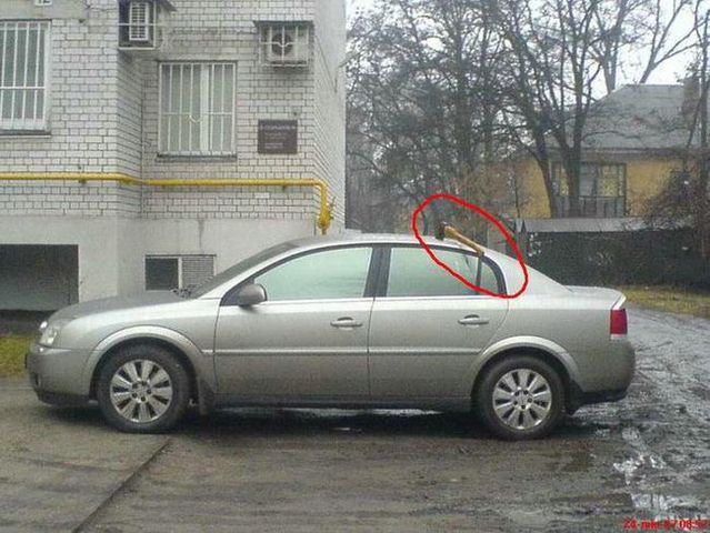 Revenge is sweeter far than flowing honey (47 photos)