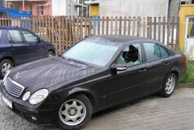 Revenge is sweeter far than flowing honey (47 photos)