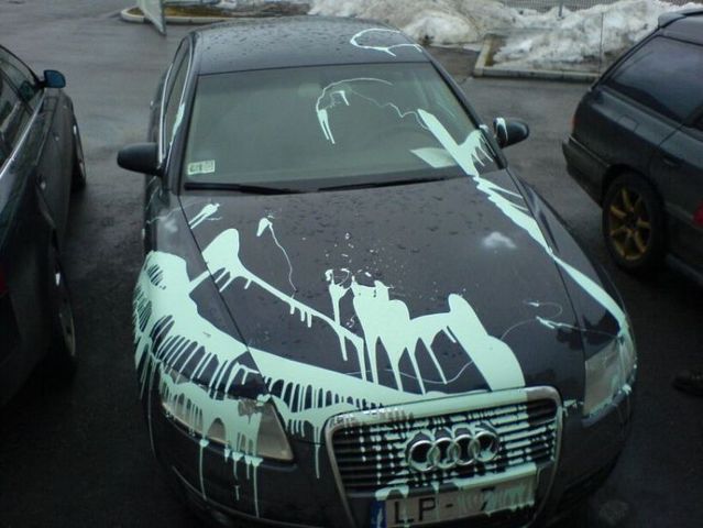 Revenge is sweeter far than flowing honey (47 photos)