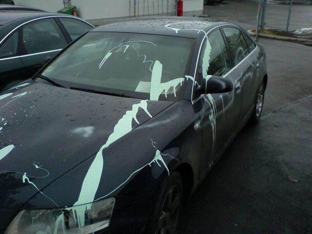 Revenge is sweeter far than flowing honey (47 photos)