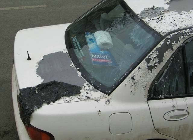 Revenge is sweeter far than flowing honey (47 photos)