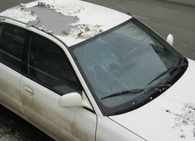 Revenge is sweeter far than flowing honey (47 photos)