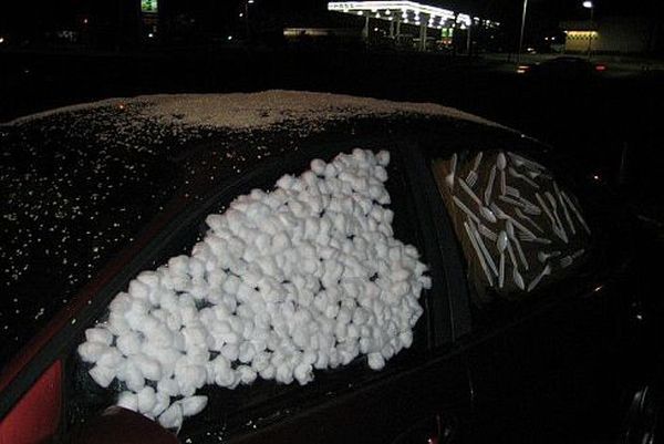 Revenge is sweeter far than flowing honey (47 photos)