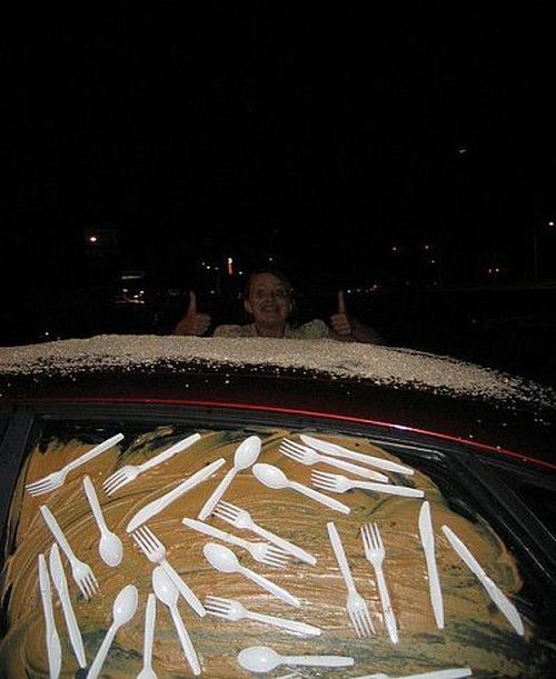 Revenge is sweeter far than flowing honey (47 photos)