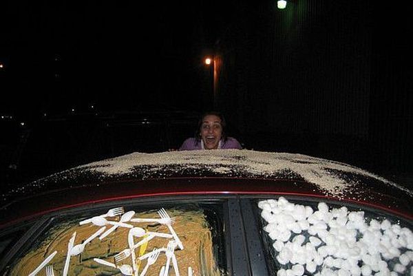 Revenge is sweeter far than flowing honey (47 photos)