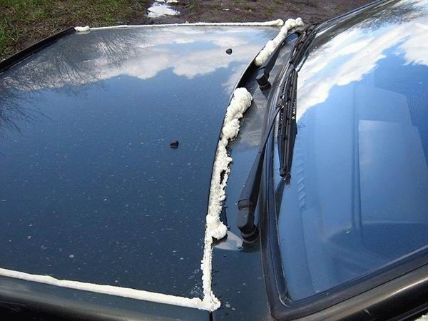 Revenge is sweeter far than flowing honey (47 photos)