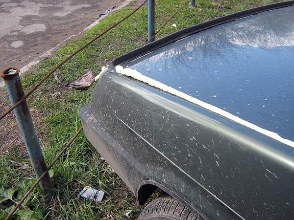 Revenge is sweeter far than flowing honey (47 photos)