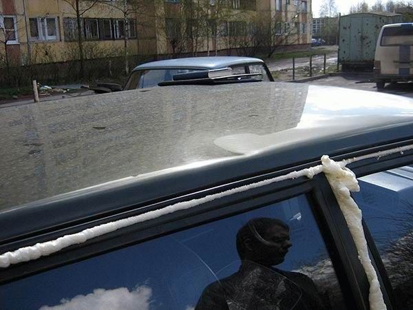 Revenge is sweeter far than flowing honey (47 photos)