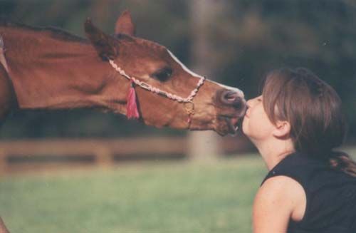 Kisses with animals (13 photos)