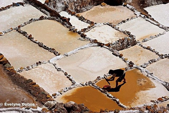 Beauty is around us. Pictures from all over the world (51 pics)