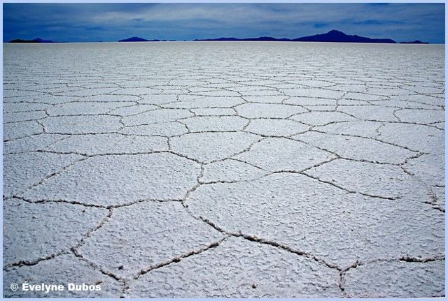 Beauty is around us. Pictures from all over the world (51 pics)