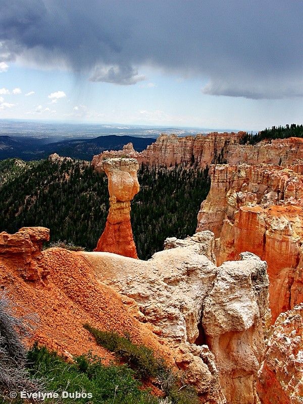 Beauty is around us. Pictures from all over the world (51 pics)