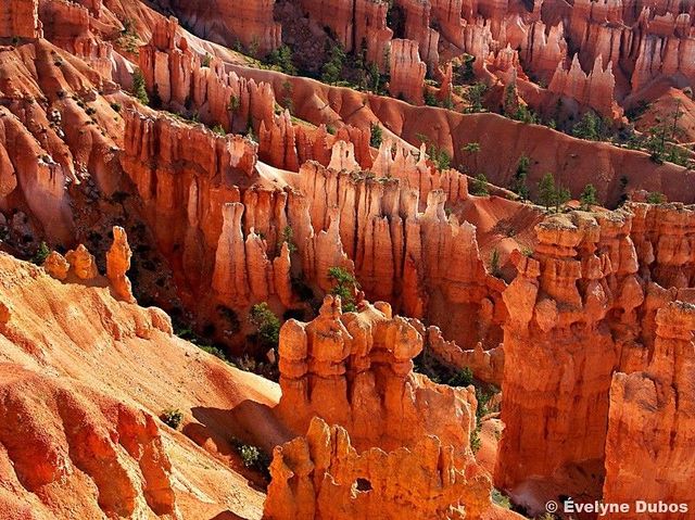 Beauty is around us. Pictures from all over the world (51 pics)