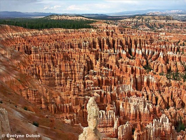 Beauty is around us. Pictures from all over the world (51 pics)